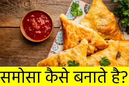 Samosa Recipe